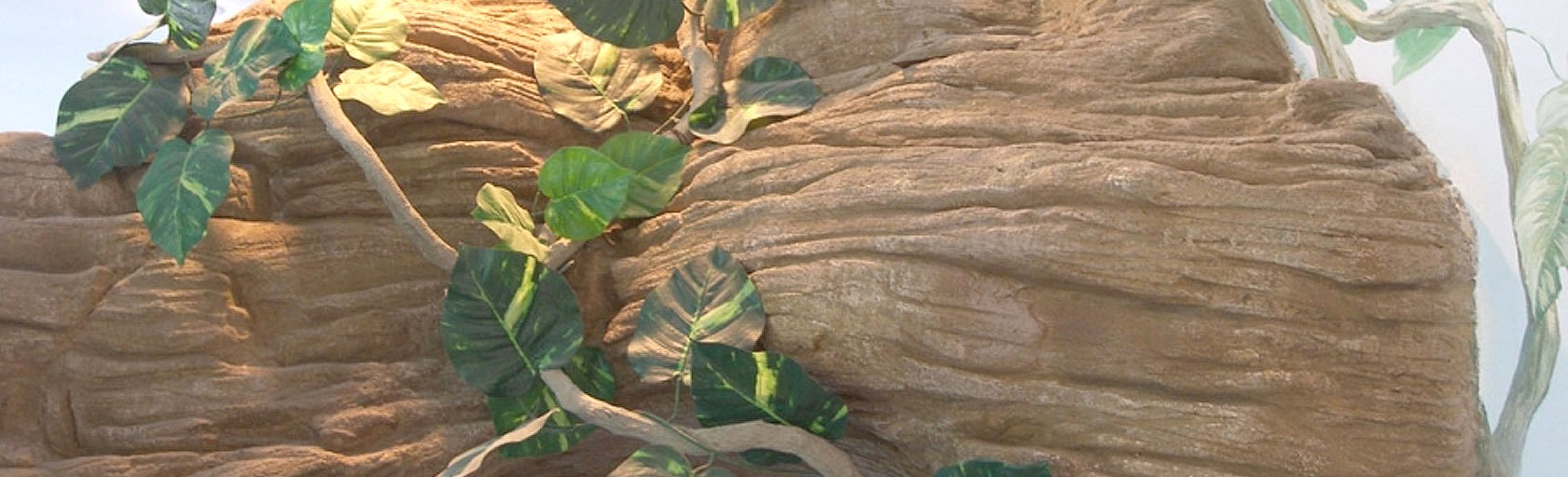 Роспись стен и потолков в Киеве и Украине